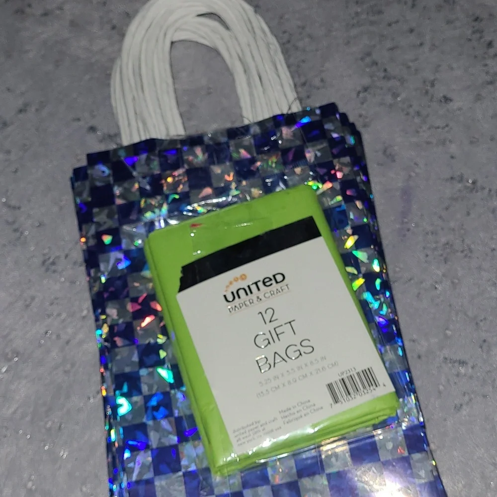 Colorful Checkered Gift Bags w/Tissue Paper- Set Of 12
